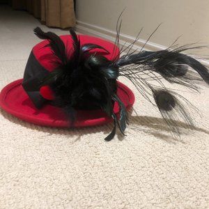 Beautiful red felt and natural feathers. New, never worn.